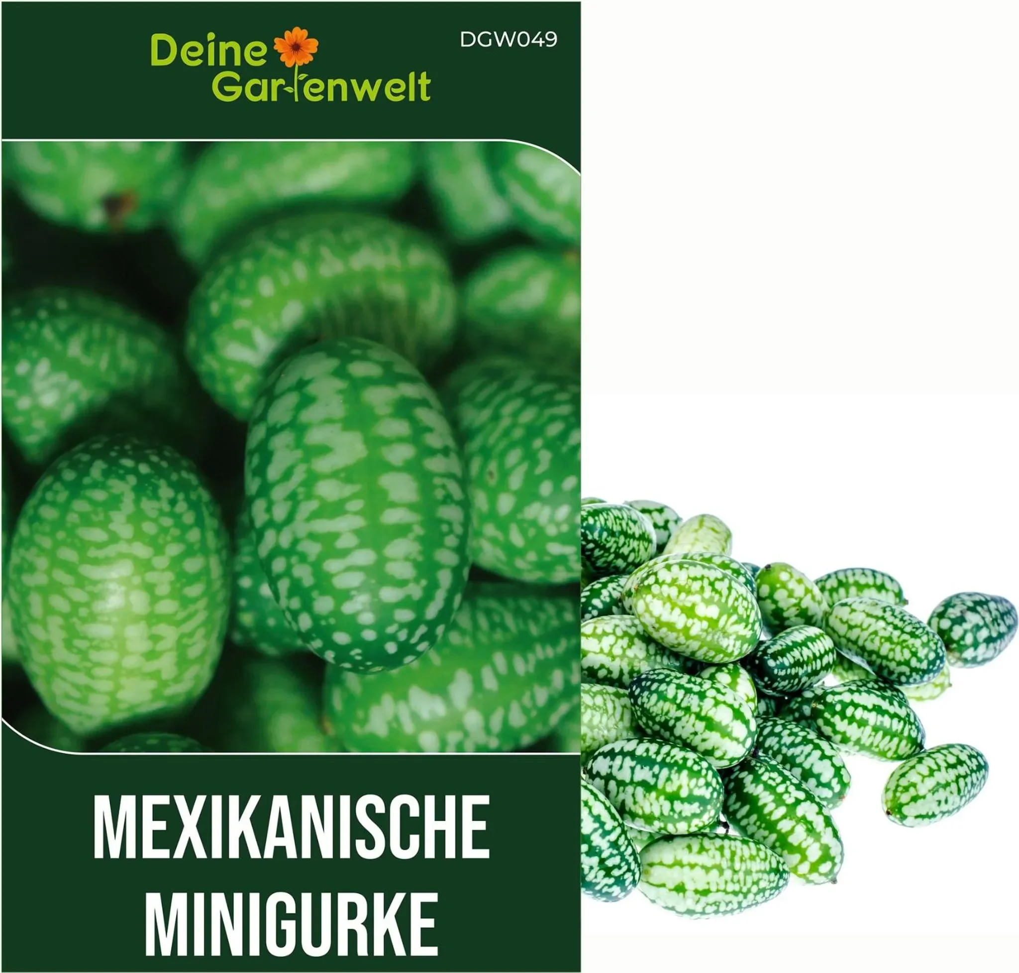 Mexikanische Minigurke – Melothria scabra | Saatgut für ca. 10 Pflanzen
